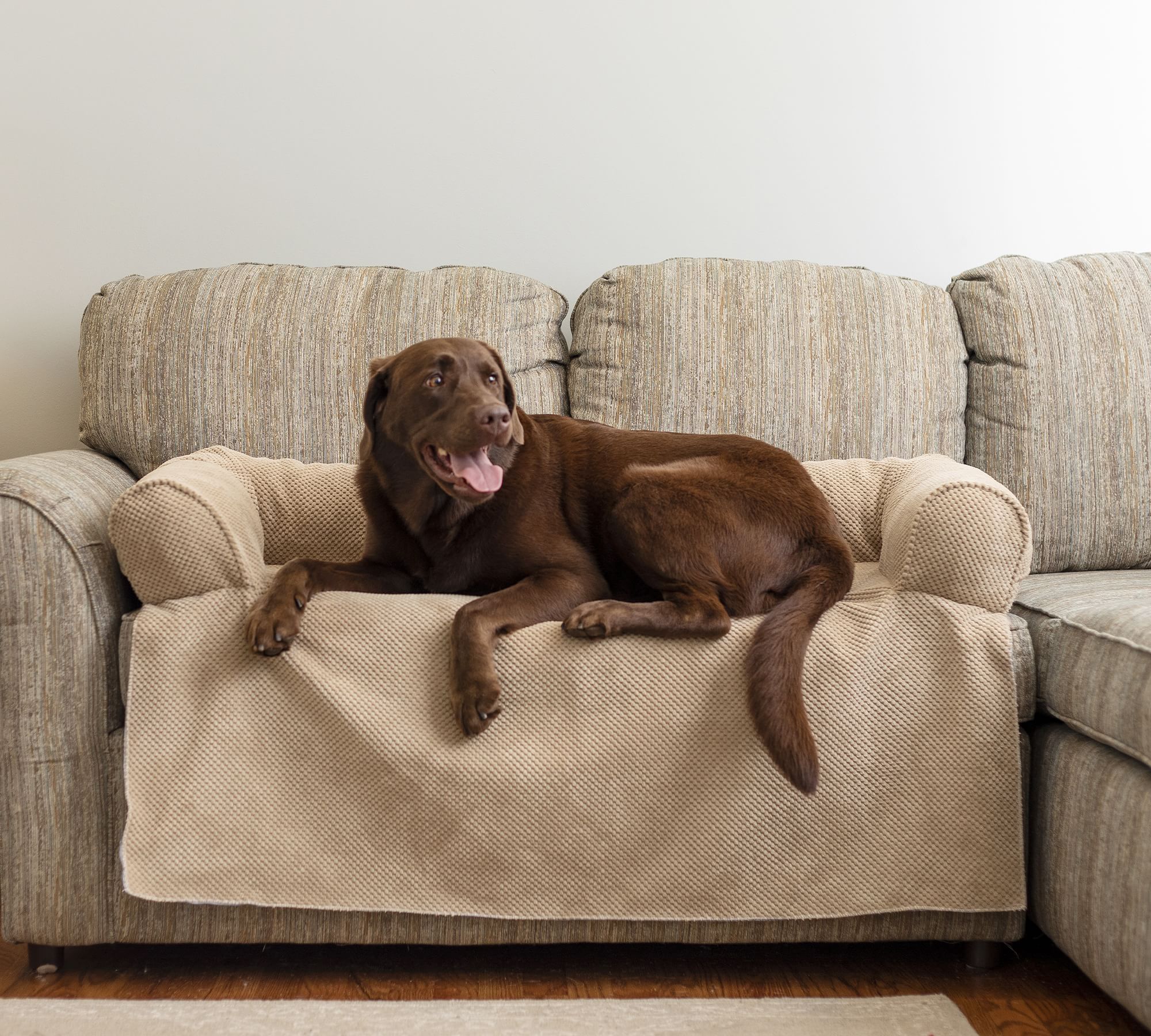 luxury-microsuede-pet-couch-cover-xl.jpg