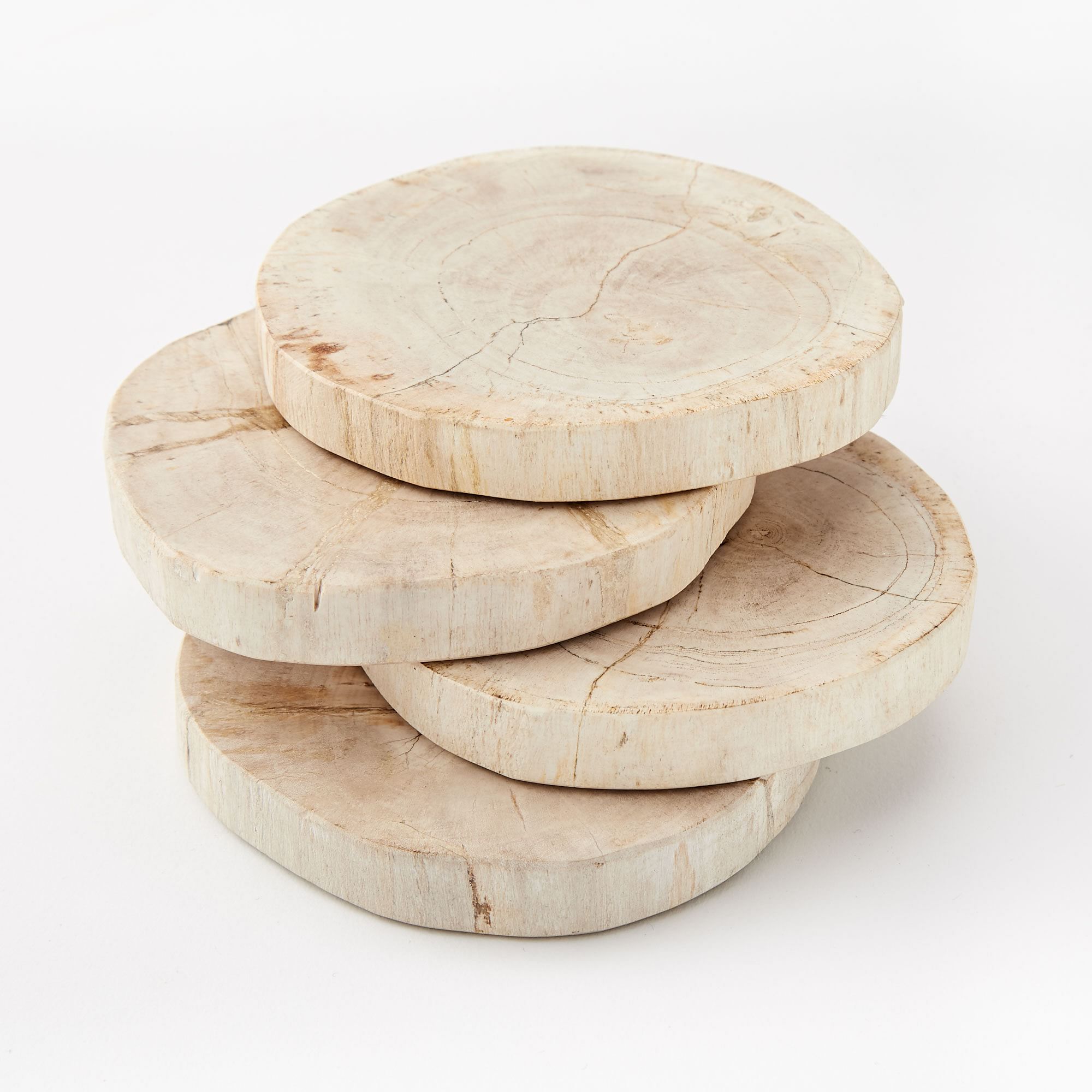 Petrified Wood Coasters Set of 4